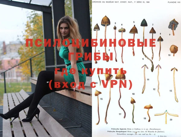 трава Вязьма