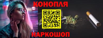 шишки Славгород