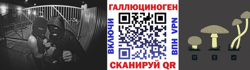 Псилоцибиновые грибы Magic Shrooms  Купить закладки  Одинцово 