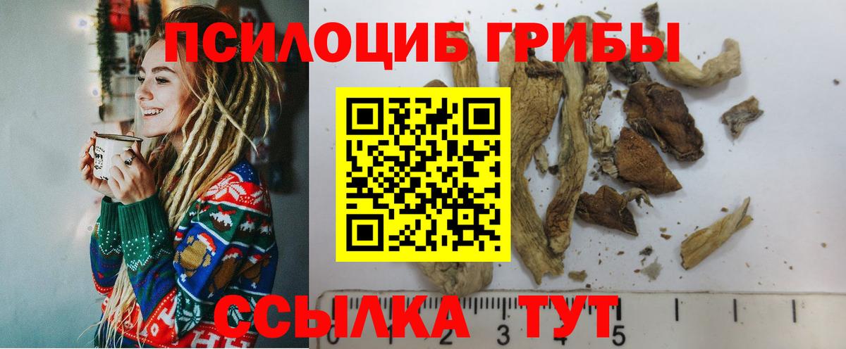 Галлюциногенные грибы мицелий  Вход с VPN  Одинцово 