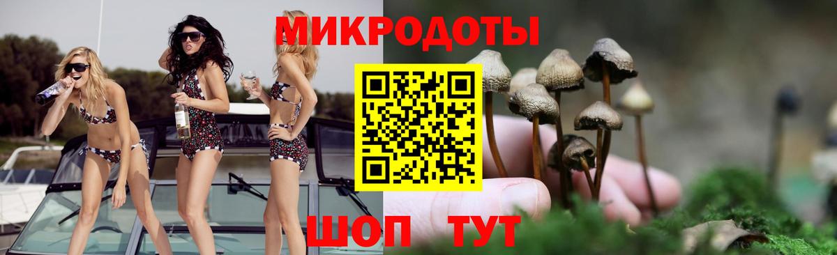 Галлюциногенные грибы Psilocybe Одинцово